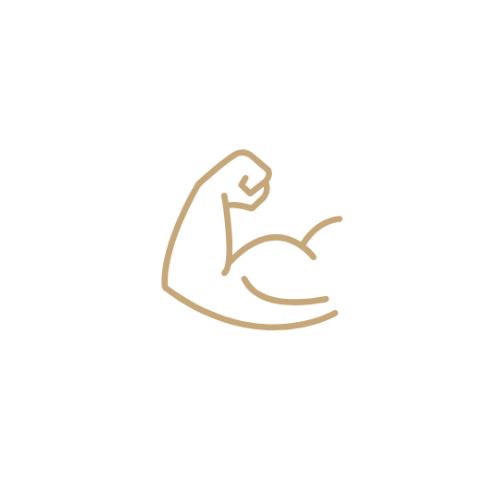Fortalecimento Muscular — catálogo de Valéria Dantas
